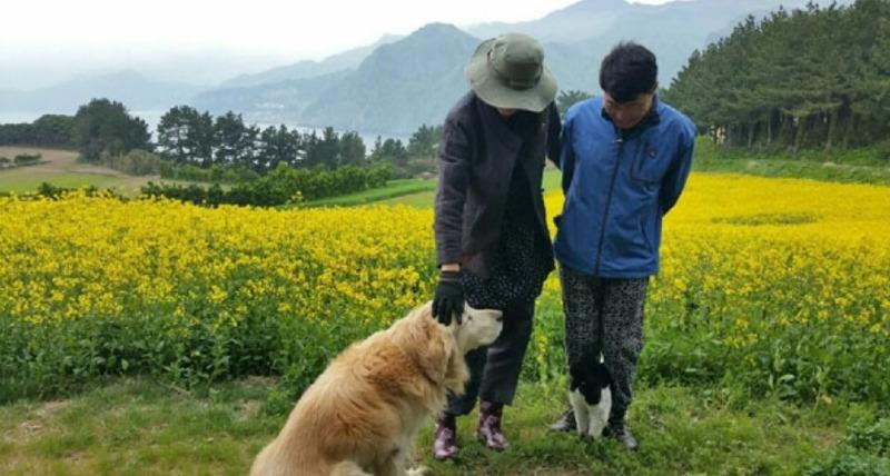 클릭하시면 원본 이미지를 보실 수 있습니다.