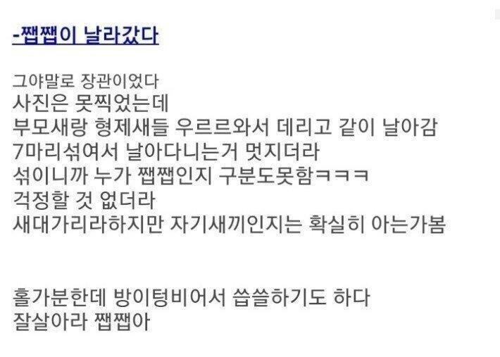 클릭하시면 원본 이미지를 보실 수 있습니다.