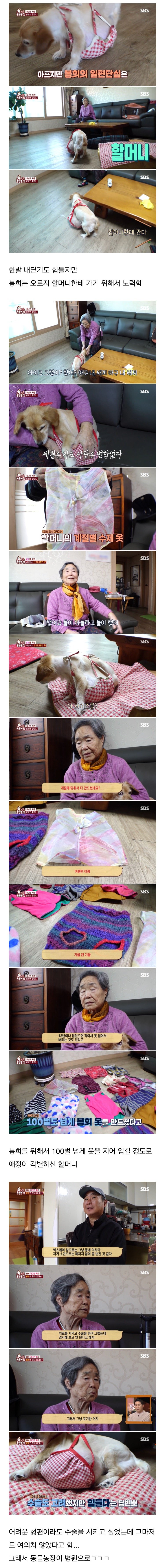 클릭하시면 원본 이미지를 보실 수 있습니다.