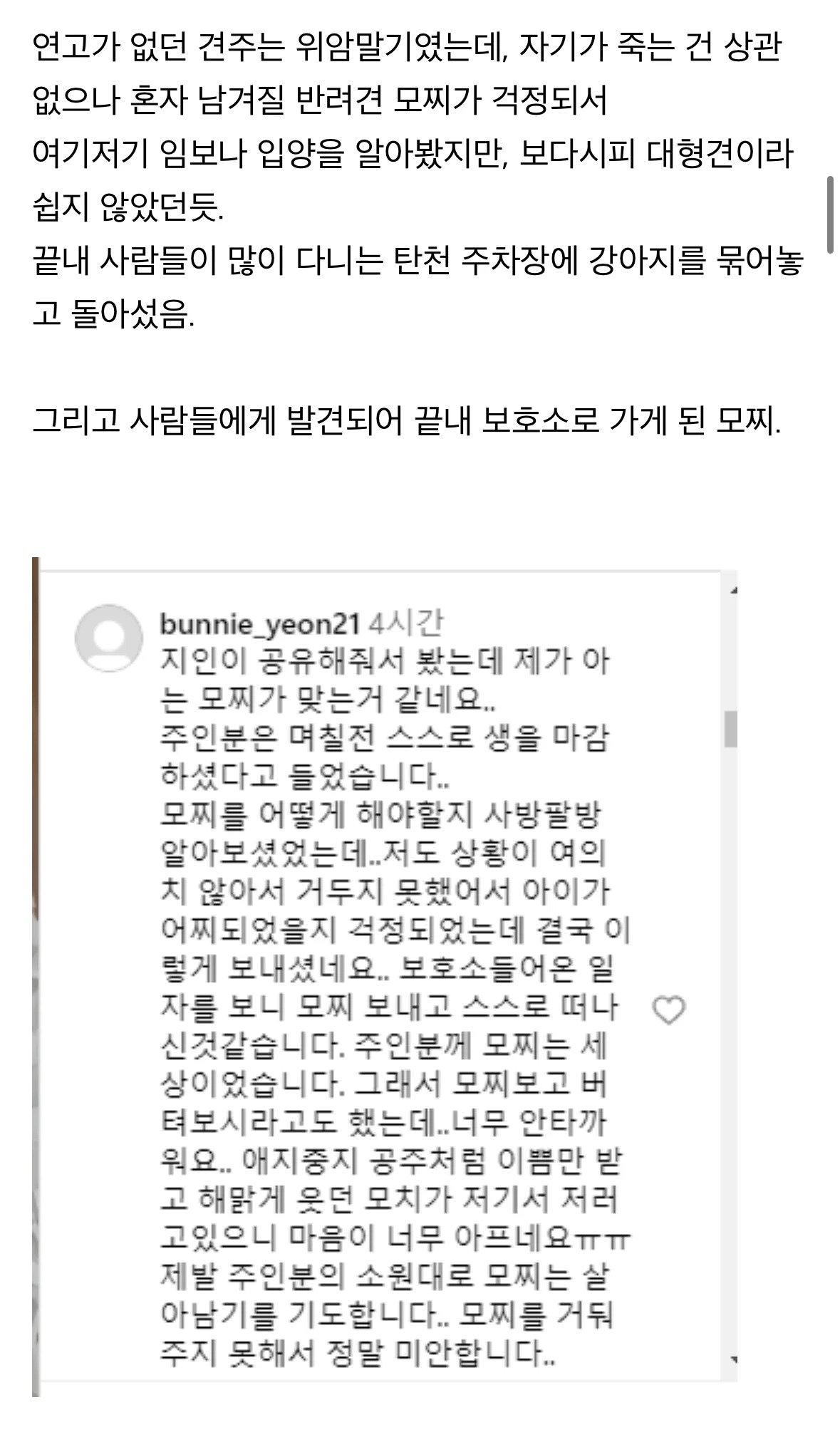 클릭하시면 원본 이미지를 보실 수 있습니다.