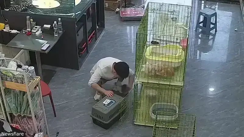 클릭하시면 원본 이미지를 보실 수 있습니다.